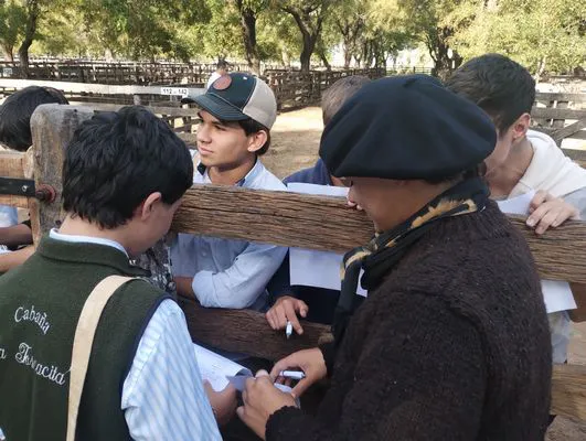 tn_IMG_20250508_151738275