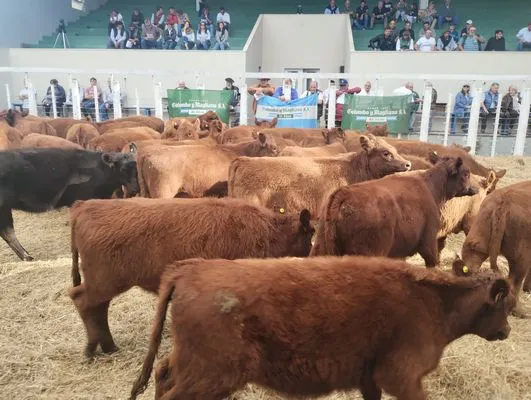 tn_IMG_20250409_161100919