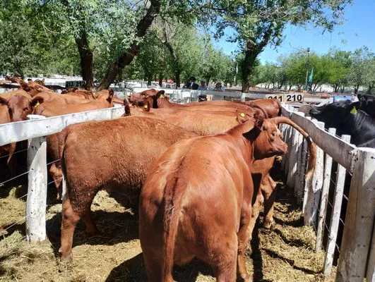 tn_IMG_20241026_123256863_HDR