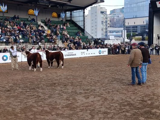 CURONE5