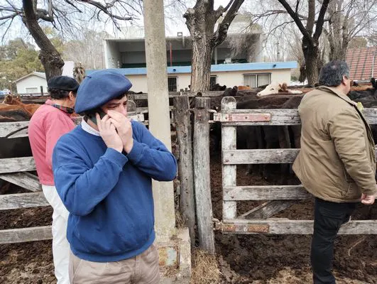 tn_IMG_20240731_113821344