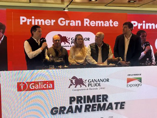 GP3