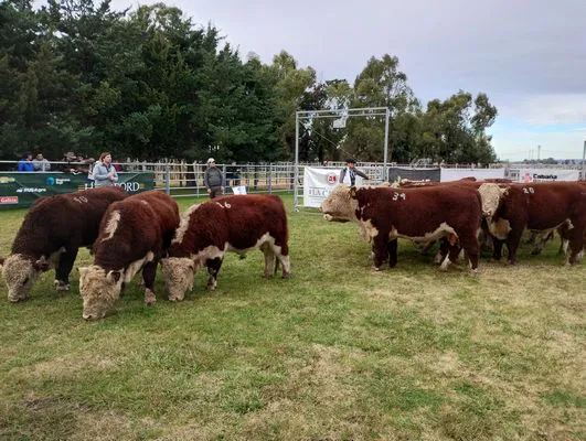 tn_IMG_20240614_144410032_HDR