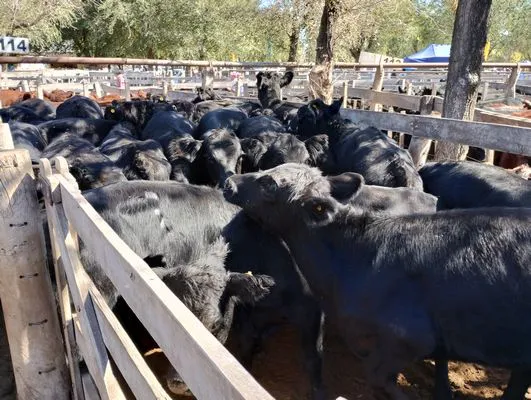 tn_IMG_20240406_143159424_HDR