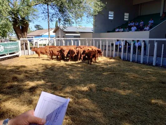 tn_IMG_20240214_161318367_HDR