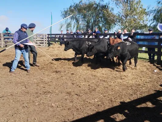 tn_IMG_20250409_103610270