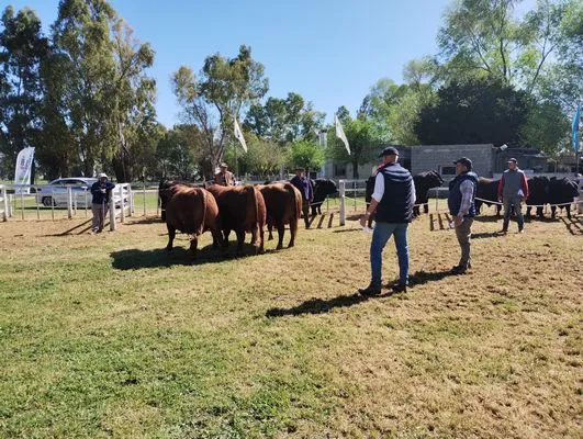 tn_IMG_20241002_103038184