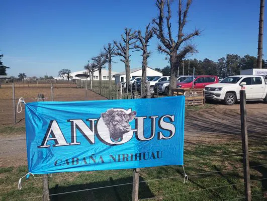 tn_IMG_20240912_111704621