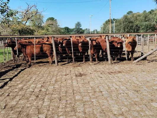 tn_IMG_20240501_124941729