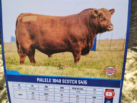 tn_IMG_20240907_113022926