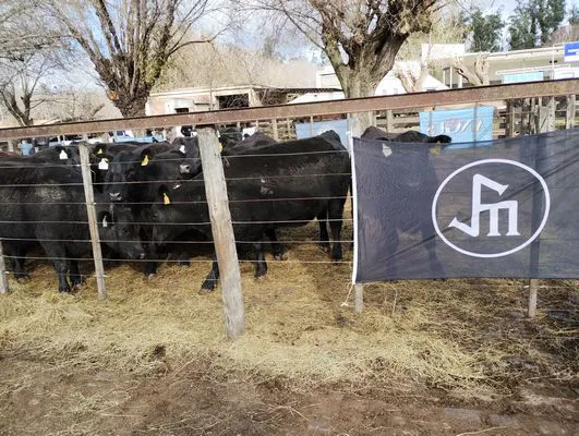 tn_IMG_20240625_115056592