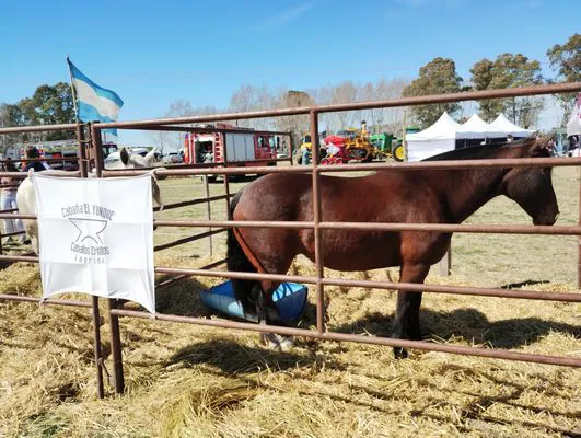 tn_IMG_20240908_124227847