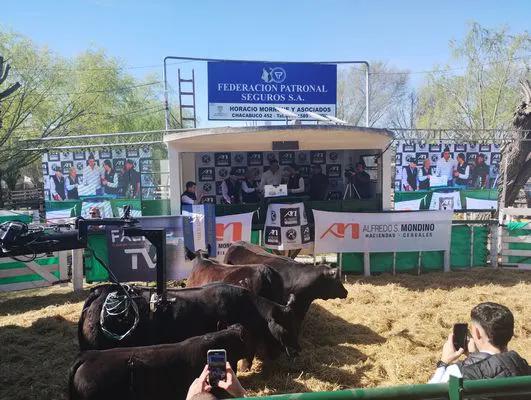 tn_IMG_20240907_142804764