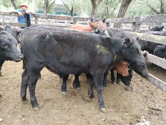 tn_IMG_20240306_152302735