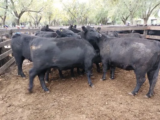 tn_IMG_20240430_145433391