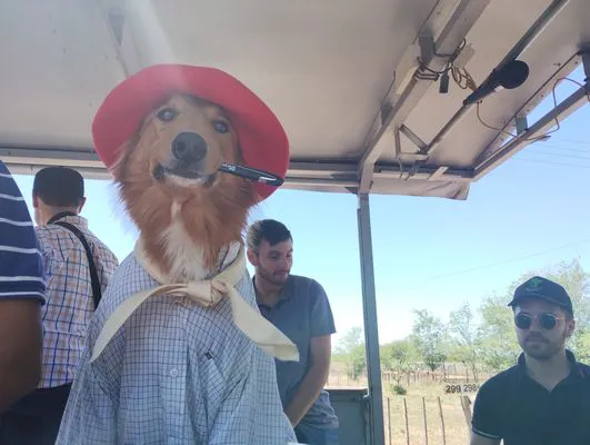 tn_IMG_20241026_120622784