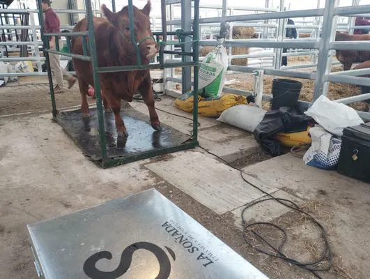 tn_IMG_20250604_165854679