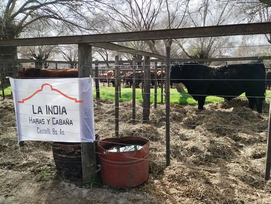 tn_IMG_20240625_120219183_HDR