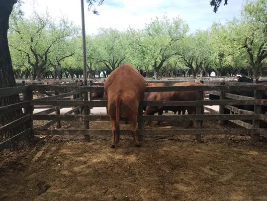 tn_IMG_20250116_153412816