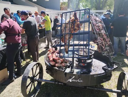 tn_IMG_20241008_141126950