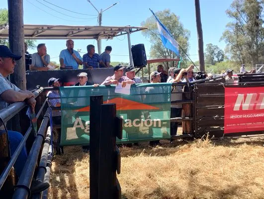 tn_IMG_20241026_143312427_HDR