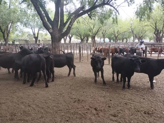 tn_IMG_20250116_164006972