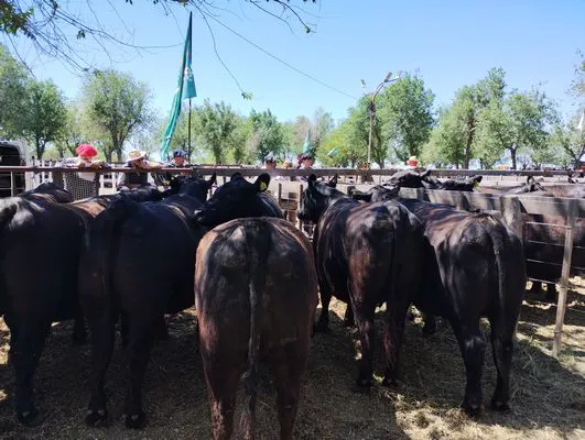 tn_IMG_20241026_113038008