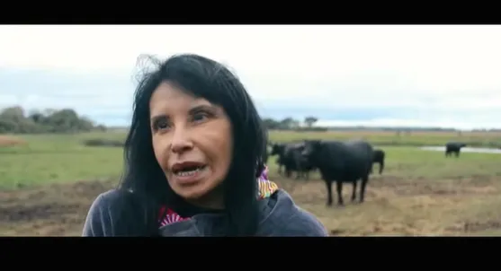 Sin título