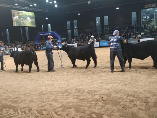 tn_IMG_20250521_170936551