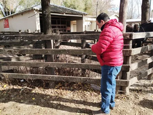 tn_IMG_20240529_121352492