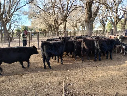 tn_IMG_20240628_154443882_HDR