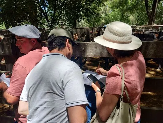 tn_IMG_20250122_123556686_HDR