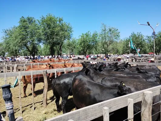 tn_IMG_20241026_114227516