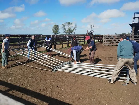 tn_IMG_20250409_105138352