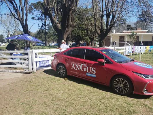 tn_IMG_20240912_114650022