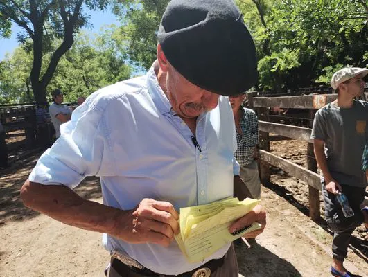 tn_IMG_20241129_141652496