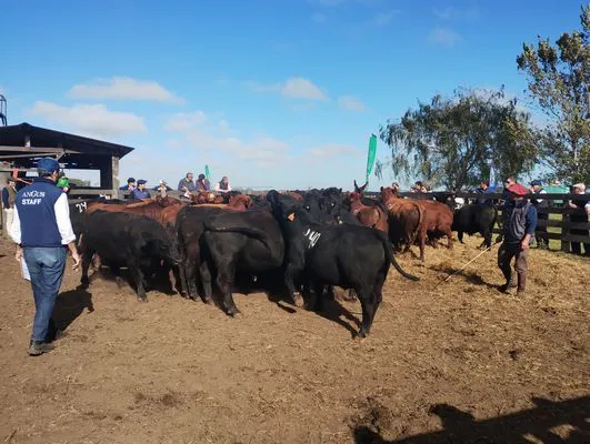 tn_IMG_20250409_101632188