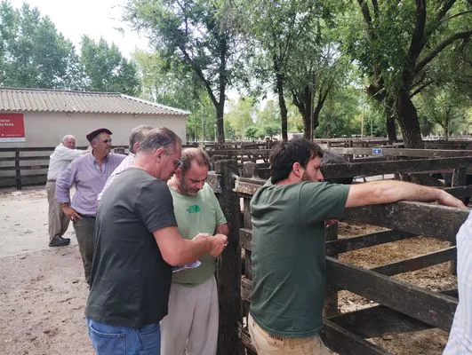 tn_IMG_20250116_152834593