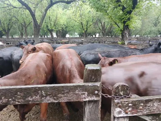 tn_IMG_20241023_113452959