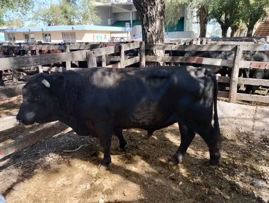 tn_IMG_20240326_141304045_HDR