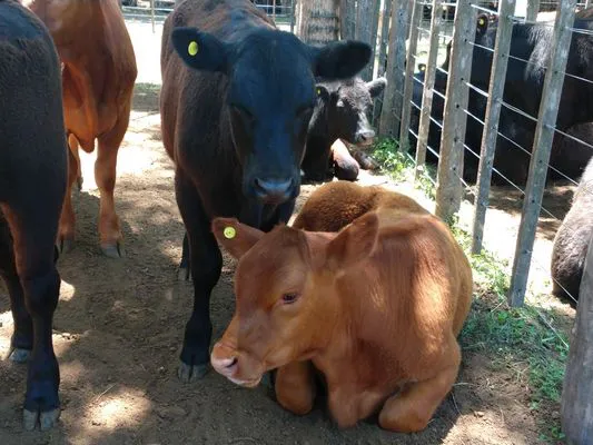 tn_IMG_20231213_122127739