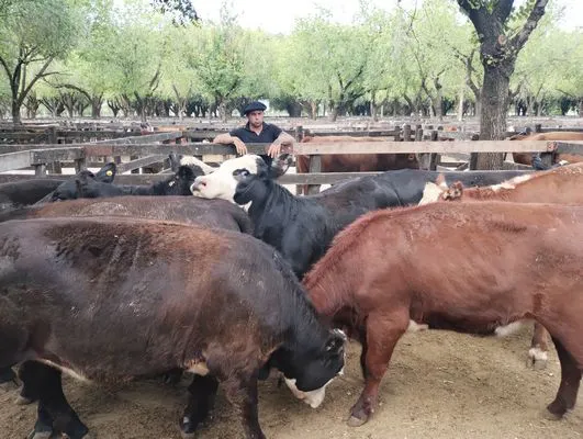 tn_IMG_20250116_153024692