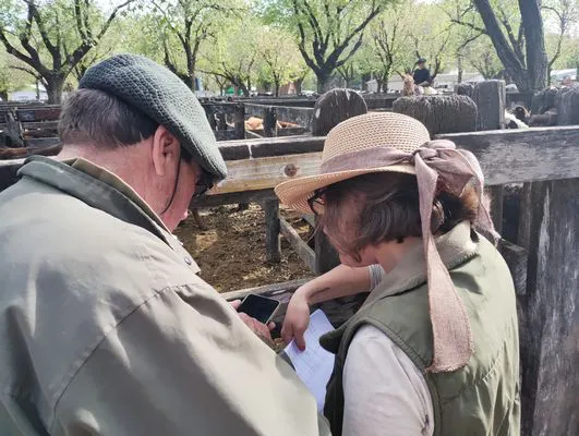 tn_IMG_20241008_155351526