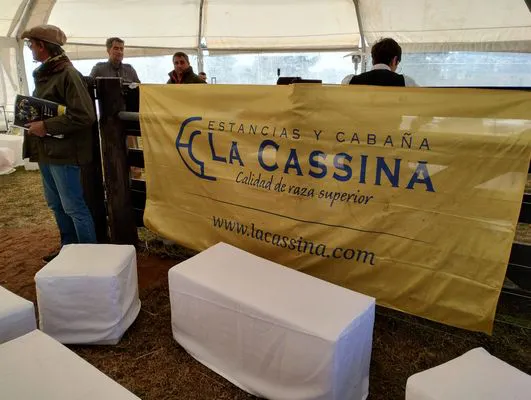 tn_IMG_20240711_131238217_HDR