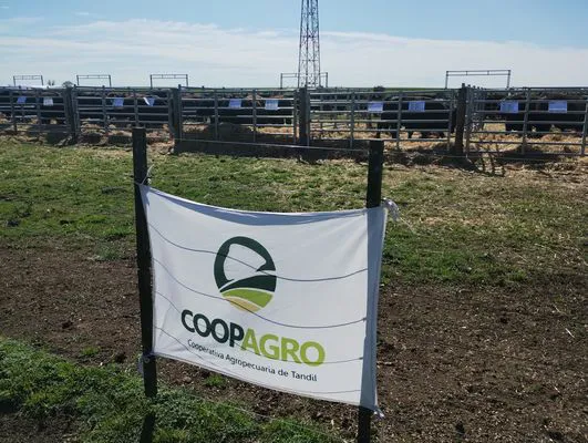 tn_IMG_20240924_103249050