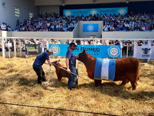 tn_IMG_20241018_144255478_HDR