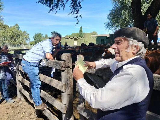 tn_IMG_20240326_140155228_HDR