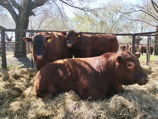 tn_IMG_20240907_113050416