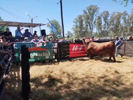 tn_IMG_20241026_143610782