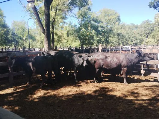 tn_IMG_20250122_103655022_HDR